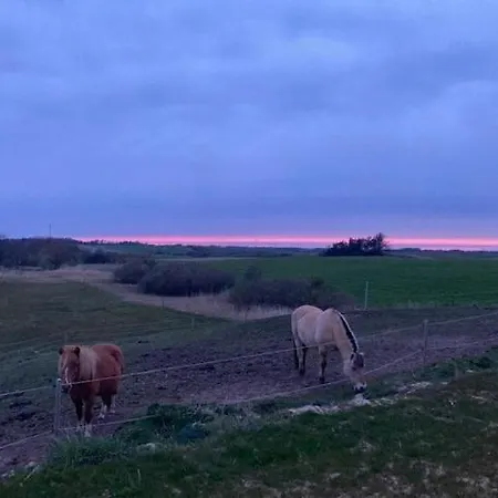 Scenic Location In A Peaceful Setting